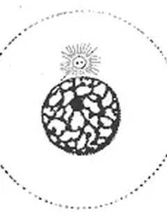 Interphase