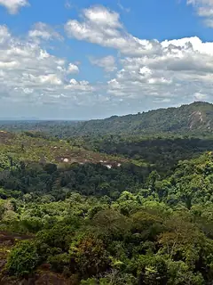 Central Suriname Nature Reserve