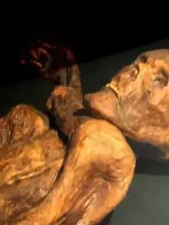 Ötzi