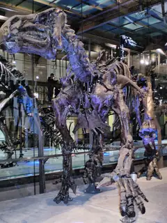 Iguanodon