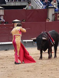 Bullfighting