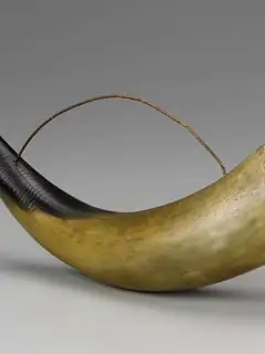 Wind instrument
