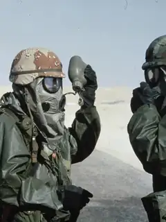 Gulf War syndrome