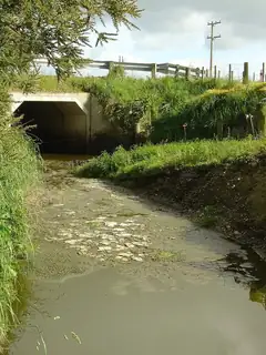 Agricultural pollution