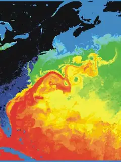 Gulf Stream