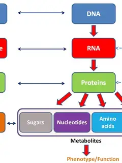 Proteome