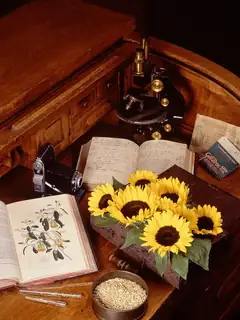 History of botany