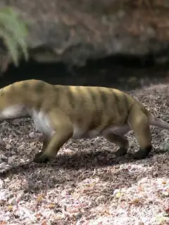 Probainognathus