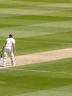 Cricket