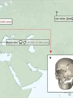 Cro-Magnon