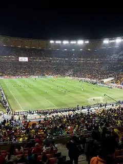 Finale de la Coupe du monde de football 2010