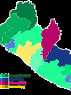 2011 Liberian general election