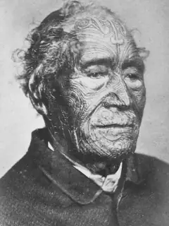 Tāmati Wāka Nene