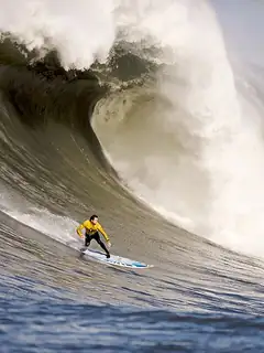 Surfing