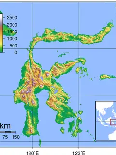 Sulawesi