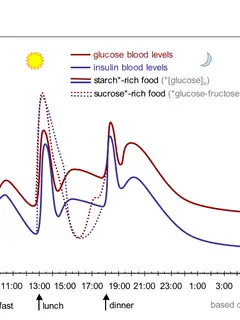 Blood sugar level