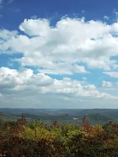 Southeastern mixed forests