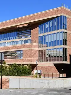 Anderson School of Management