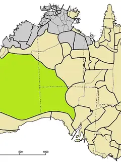 Western Desert language