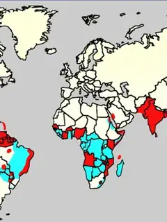 Dengue fever outbreaks