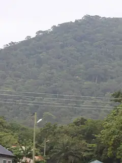 Mount Afadja