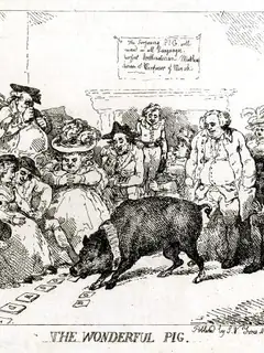 Learned pig