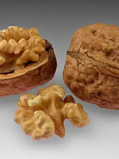 Walnut
