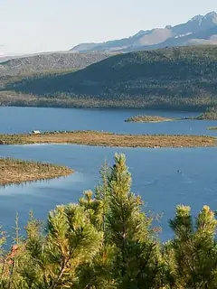 Taiga