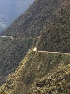 Bolivian Yungas