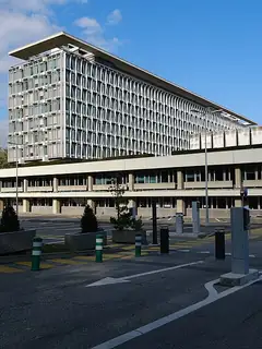 World Health Organization
