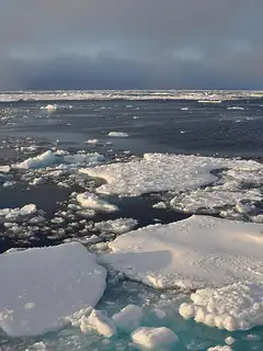 Sea ice