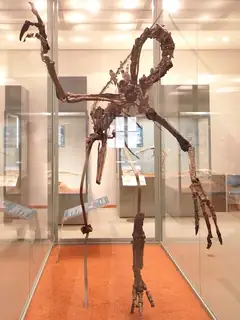 Harpymimus