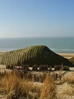 Environmental art