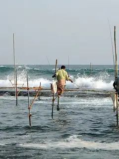 Fishing