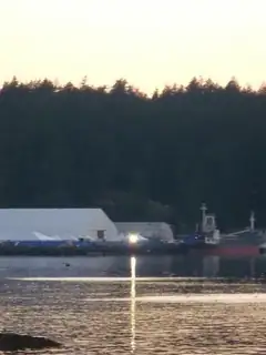 MV Sun Sea incident