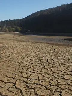 Drought