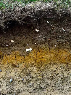 Soil