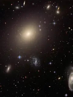 Galaxie la plus brillante de l'amas