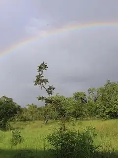Parc national de la Comoé