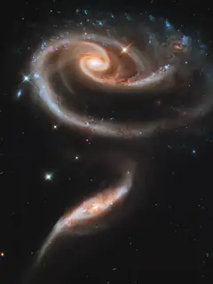 Gravity