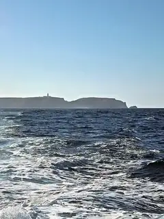 Berlengas