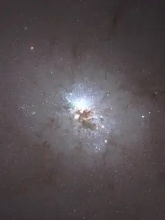 NGC 3077