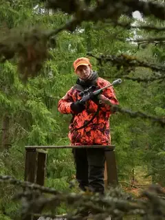 Hunting