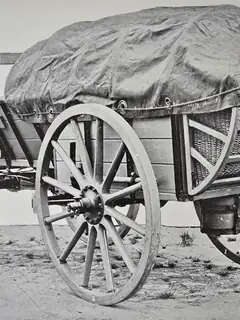 Horse-drawn vehicle