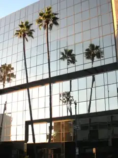 Academy of Motion Picture Arts and Sciences