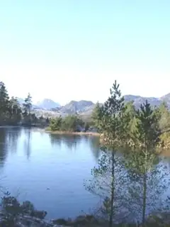 Gwydir Forest