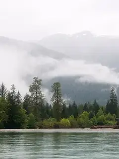 Great Bear Rainforest