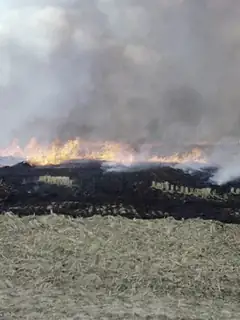 Stubble burning