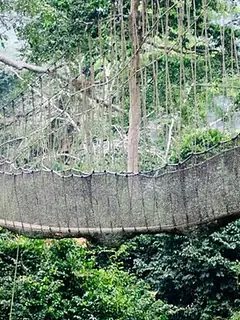 Sustainable tourism