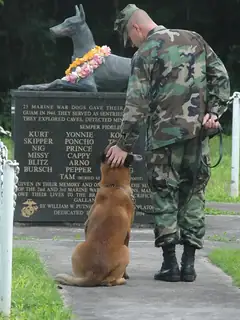 National War Dog Cemetery